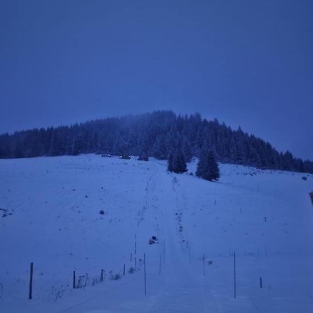 Aa Frame Retreat Fundata Bagian luar foto